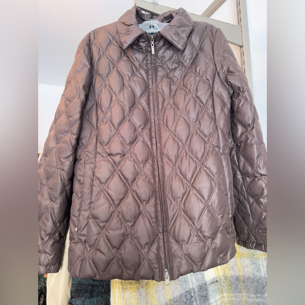 Chocolate brown Johnny Yiu